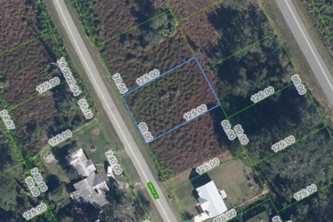 Land in Lake Placid, Florida № 2213690