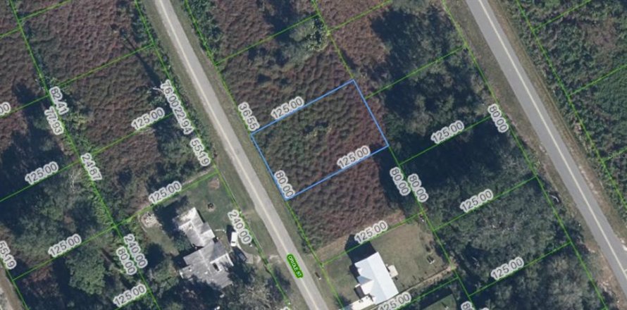 Land in Lake Placid, Florida № 2213690