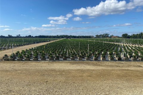 Propiedad comercial en venta en Homestead, Florida № 2030155 - foto 5