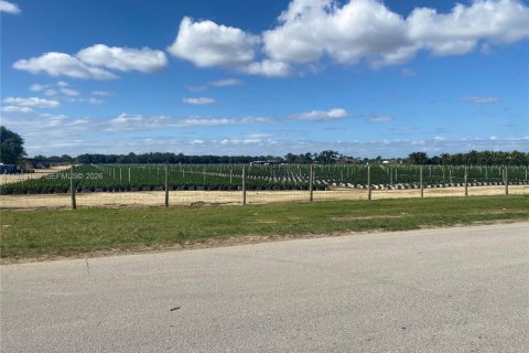 Propiedad comercial en venta en Homestead, Florida № 2030155 - foto 11