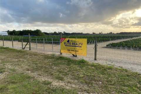 Propiedad comercial en venta en Homestead, Florida № 2030155 - foto 3