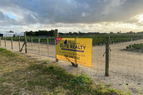 Propiedad comercial en venta en Homestead, Florida № 2030155 - foto 4