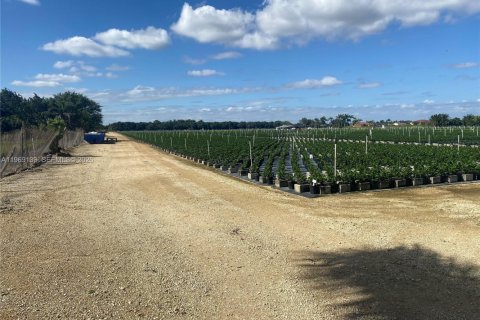 Propiedad comercial en venta en Homestead, Florida № 2030155 - foto 9