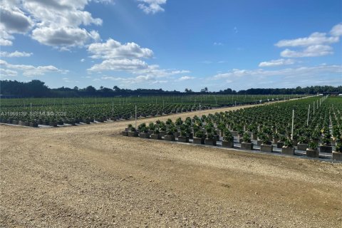 Propiedad comercial en venta en Homestead, Florida № 2030155 - foto 6