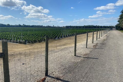 Propiedad comercial en venta en Homestead, Florida № 2030155 - foto 8