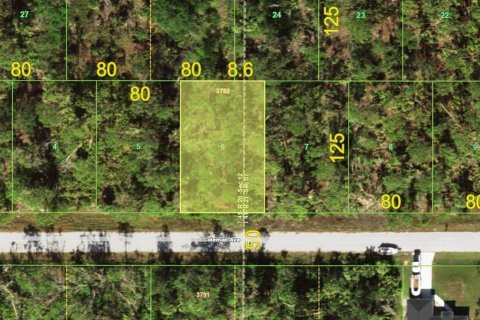 Land in Port Charlotte, Florida № 2160224