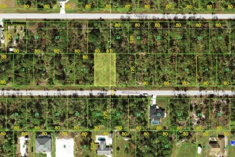 Land in Port Charlotte, Florida № 2160224 - photo 2