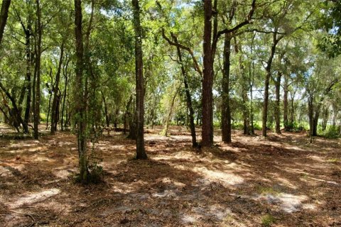 Купить земельный участок в Санфорд, Флорида № 1907416 - фото 9