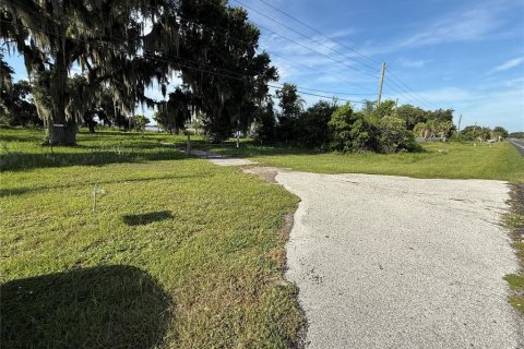 Terrain à vendre à Lake Alfred, Floride № 2322820 - photo 4