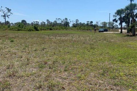 Land in Placida, Florida № 1520041 - photo 23