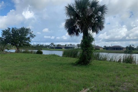 Land in Placida, Florida № 1520041 - photo 9