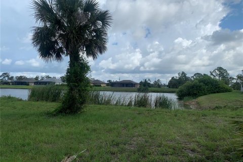 Land in Placida, Florida № 1520041 - photo 16