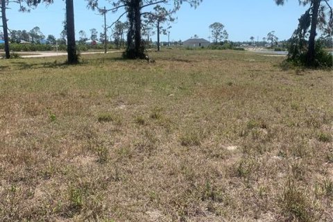 Land in Placida, Florida № 1520041 - photo 20
