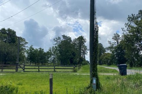 Land in Frostproof, Florida № 2160360 - photo 4
