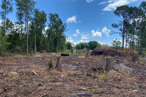 Land in Frostproof, Florida № 2160360 - photo 5