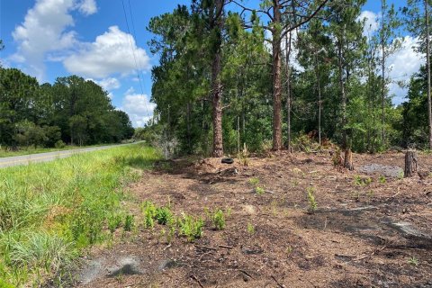 Land in Frostproof, Florida № 2160360 - photo 3