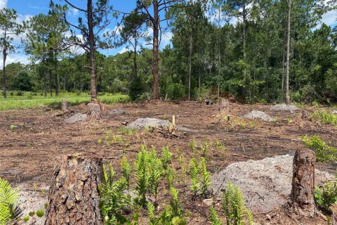 Land in Frostproof, Florida № 2160360