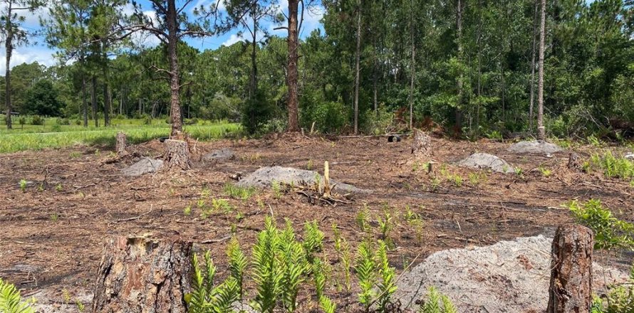 Land in Frostproof, Florida № 2160360