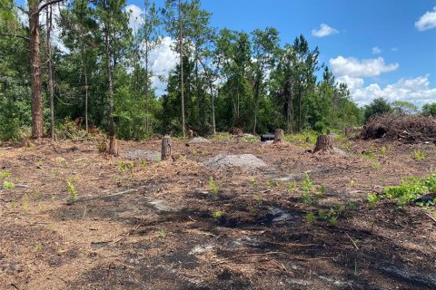 Land in Frostproof, Florida № 2160360 - photo 2