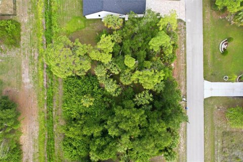 Land in North Port, Florida № 2159204 - photo 5