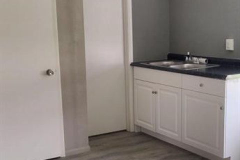 Immobilier commercial à louer à Clearwater, Floride: 116.13 m2 № 2404851 - photo 6