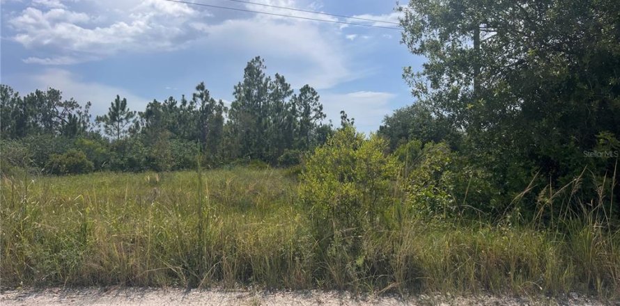 Terrain à Punta Gorda, Floride № 1869573