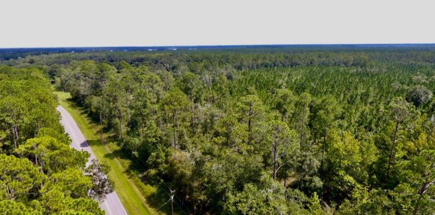 Terreno en Hampton, Florida № 771086