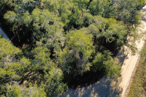 Land in Satsuma, Florida № 2196853