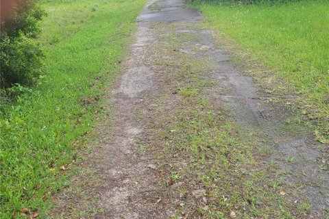 Commercial property in Apopka, Florida 249.81 sq.m. № 2215620 - photo 3