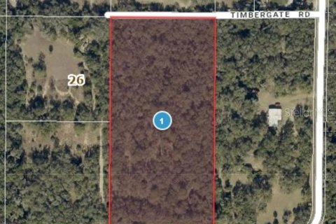 Terrain à Leesburg, Floride № 2232375