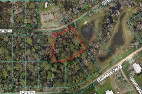 Terrain à vendre à Ocala, Floride № 2201848 - photo 4