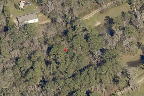 Terrain à vendre à Ocala, Floride № 2201848 - photo 3