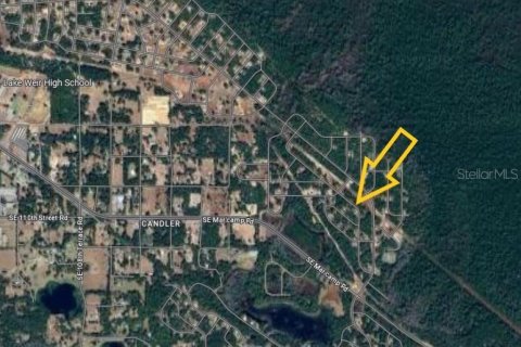 Land in Ocala, Florida № 2166081 - photo 4