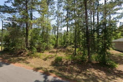 Land in Ocala, Florida № 2166081