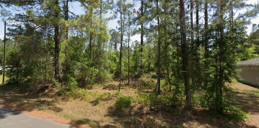 Land in Ocala, Florida № 2166081