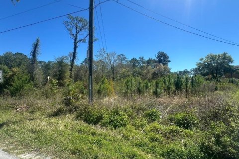 Terreno en DeLand, Florida № 2233758