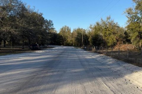 Terreno en venta en Fort White, Florida № 1583104 - foto 3