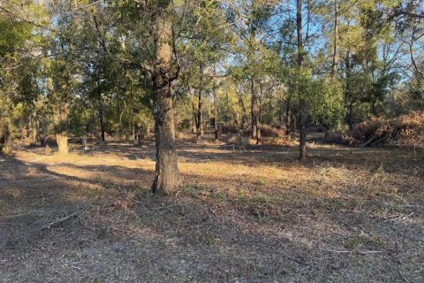 Terreno en venta en Fort White, Florida № 1583104 - foto 1