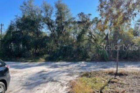 Land in New Port Richey, Florida № 2165489