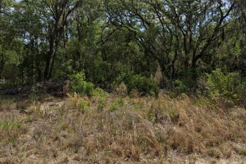 Terreno en venta en Ocala, Florida № 1965505 - foto 1