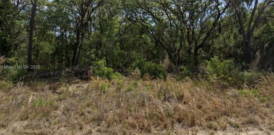 Terreno en Ocala, Florida № 1965505