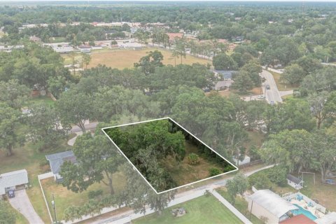 Terrain à vendre à Ocala, Floride № 2220842 - photo 6