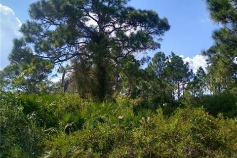 Land in Port Charlotte, Florida № 2163333