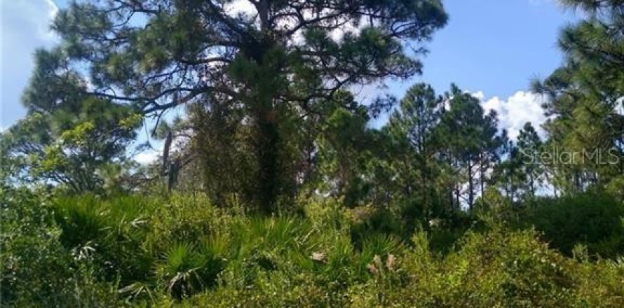 Land in Port Charlotte, Florida № 2163333