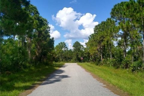 Land in Port Charlotte, Florida № 2163333 - photo 3
