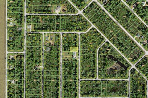 Land in Port Charlotte, Florida № 2163333 - photo 4