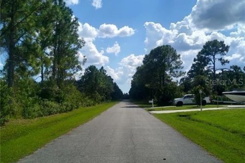 Land in Port Charlotte, Florida № 2163333 - photo 2