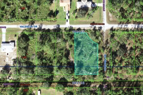 Land in Indian lake estates, Florida № 2207762 - photo 2