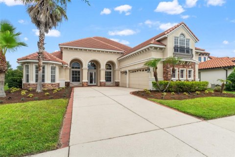 Casa en Tampa, Florida 5 dormitorios, 383.04 m2 № 2138012