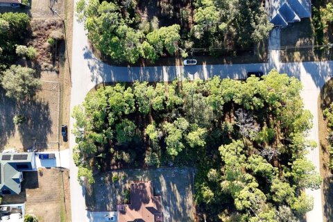 Land in North Port, Florida № 2165602 - photo 11